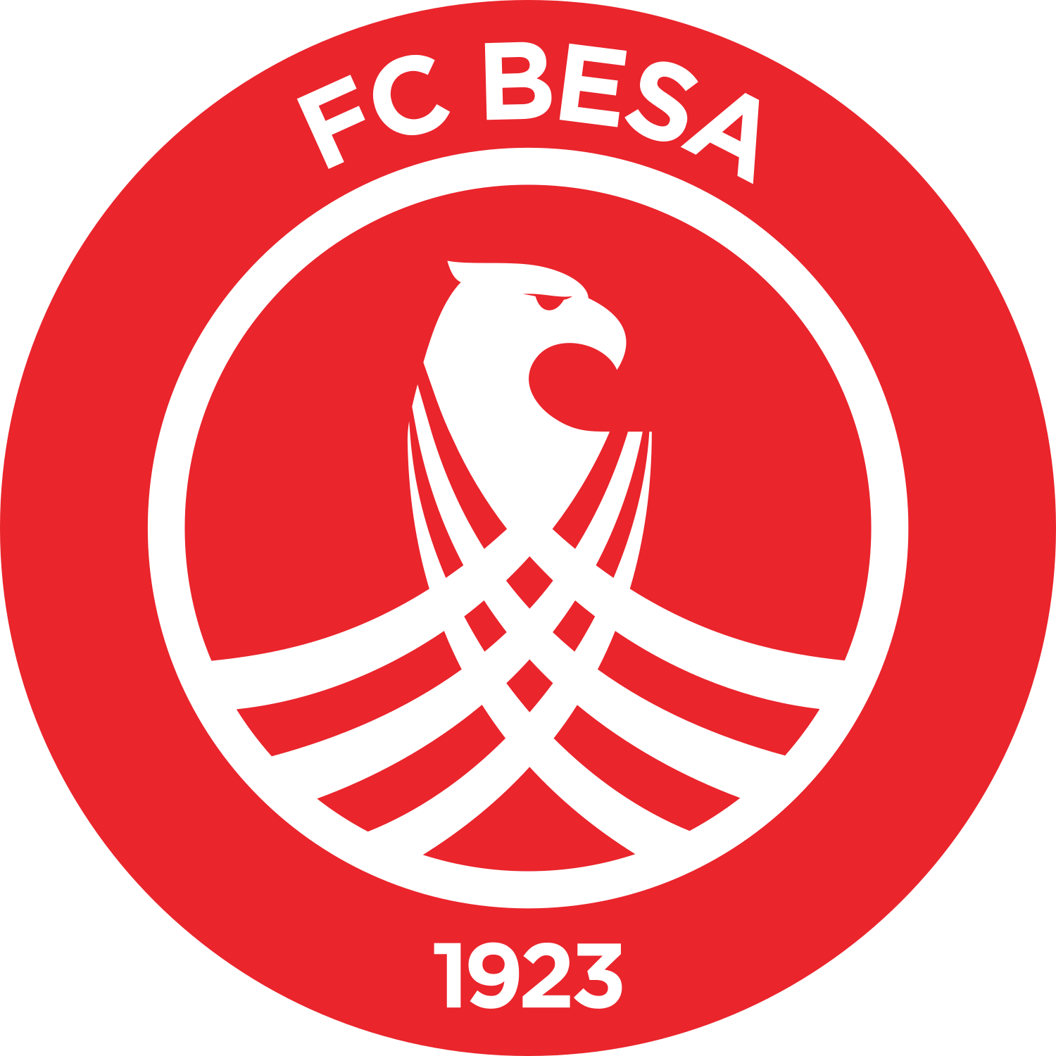 Besa Peja logo โ transparent PNG