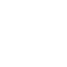 Argentina National Team white monochrome logo
