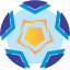 Primera Nacional logo