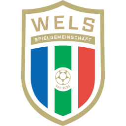 FC Hertha Wels logo