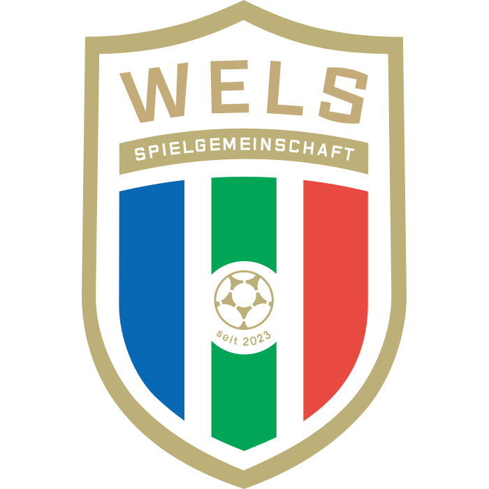 FC Hertha Wels logo – transparent PNG