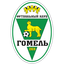Gomel (Belarus) logo