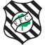Figueirense (Brazilian Serie C) logo