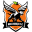 Nova Iguaçu FC logo