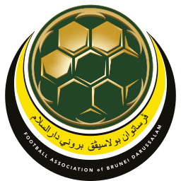 Brunei National Team logo