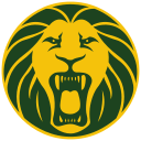 Cameroon National Team (FECAFOOT) logo
