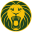 Cameroon National Team (Cameroon) logo
