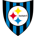 Huachipato logo