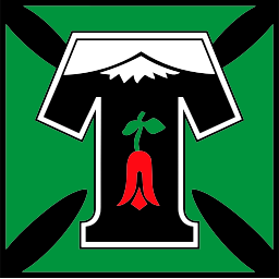 Deportes Temuco logo