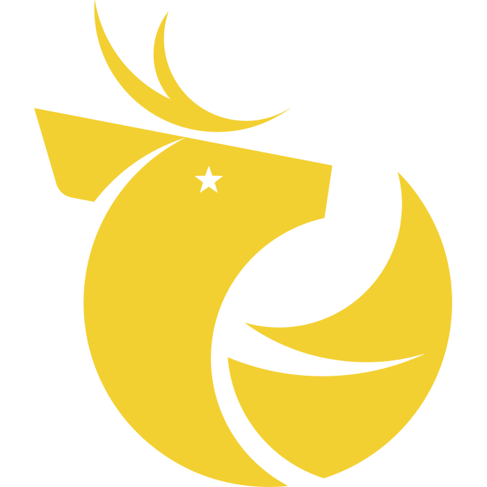 Liga de Primera No text logo