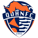Qingdao Hainiu logo