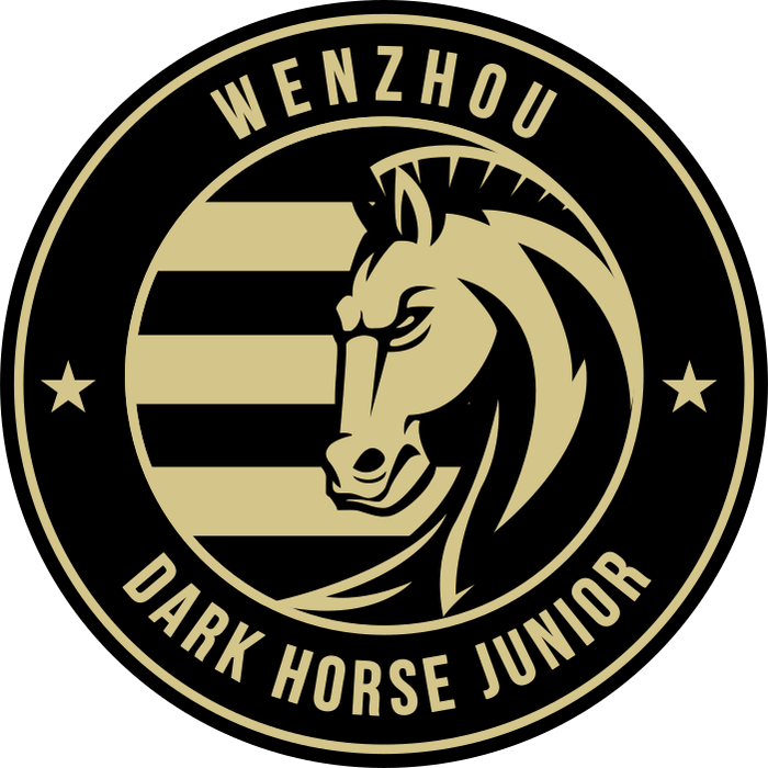Wenzhou FC logo – transparent PNG