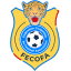 Congo DR National Team (Democratic Republic of the Congo) logo