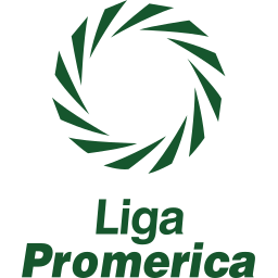 Primera División logo