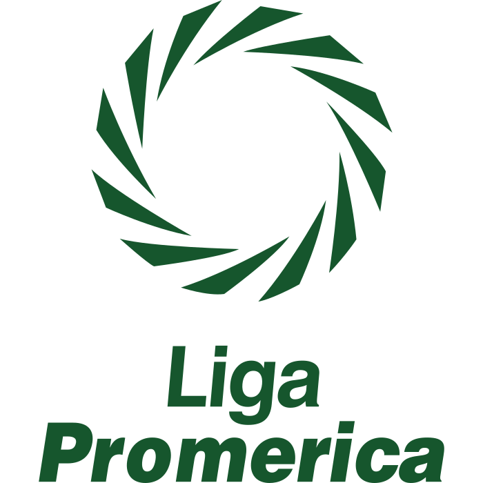 Primera División logo