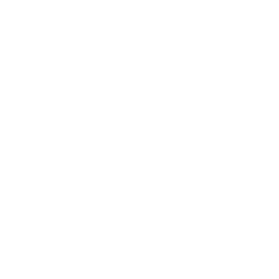 Danish Cup (Pokalen) White (Denmark) logo