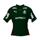 Palmeiras 2026 home DLS kit 512×512