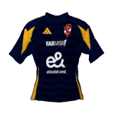 Al Ahly SC 2024/25 away DLS kit 512×512