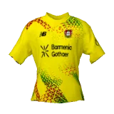 Bayer Leverkusen 2026/27 gk home 1 DLS kit 512×512