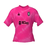 Borneo Samarinda 2025/26 gk home DLS kit 512×512
