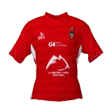 Malut United 2025/26 home DLS kit 512×512