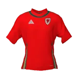 Wales National Team 2024 home DLS kit 512×512
