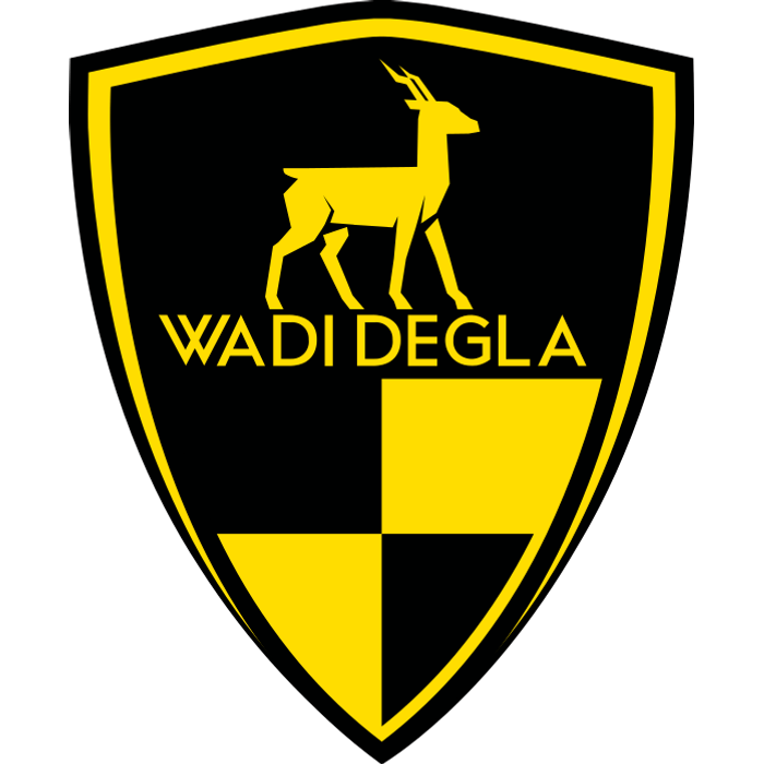 Wadi Degla SC (وادي دجلة) (Egypt) logo