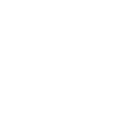 Arsenal white monochrome logo