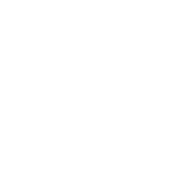 Bournemouth white monochrome logo