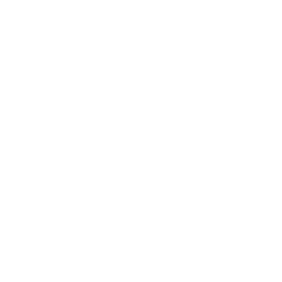 Brentford white monochrome logo