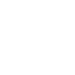 Brighton white monochrome logo