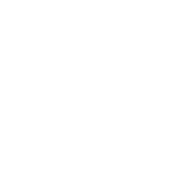 Chelsea white monochrome logo