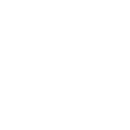 Coventry City white monochrome logo