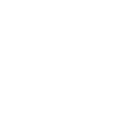 Crystal Palace white monochrome logo
