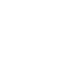 English Premier League white monochrome logo