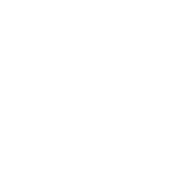 Everton white monochrome logo