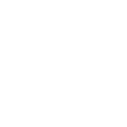 Hull City white monochrome logo