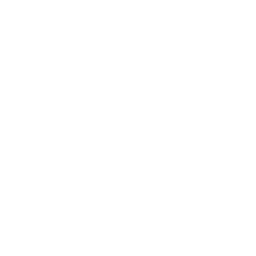 Leeds United white monochrome logo