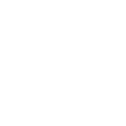 Liverpool FC white monochrome logo