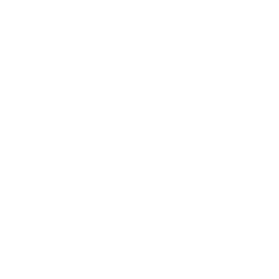 Manchester City white monochrome logo