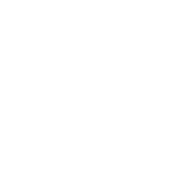 Manchester United white monochrome logo