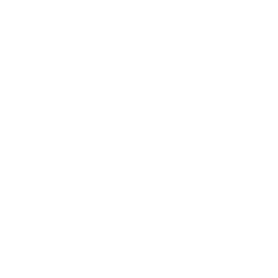 Newcastle white monochrome logo