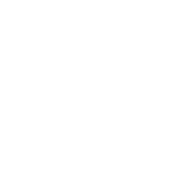 Sunderland white monochrome logo