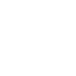 Tottenham white monochrome logo