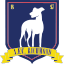 AFC Richmond (England) logo