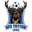AFC Totton (England) logo