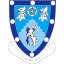 Rugby Town logo