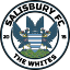 Salisbury FC (England) logo