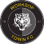 Worksop Town (England) logo