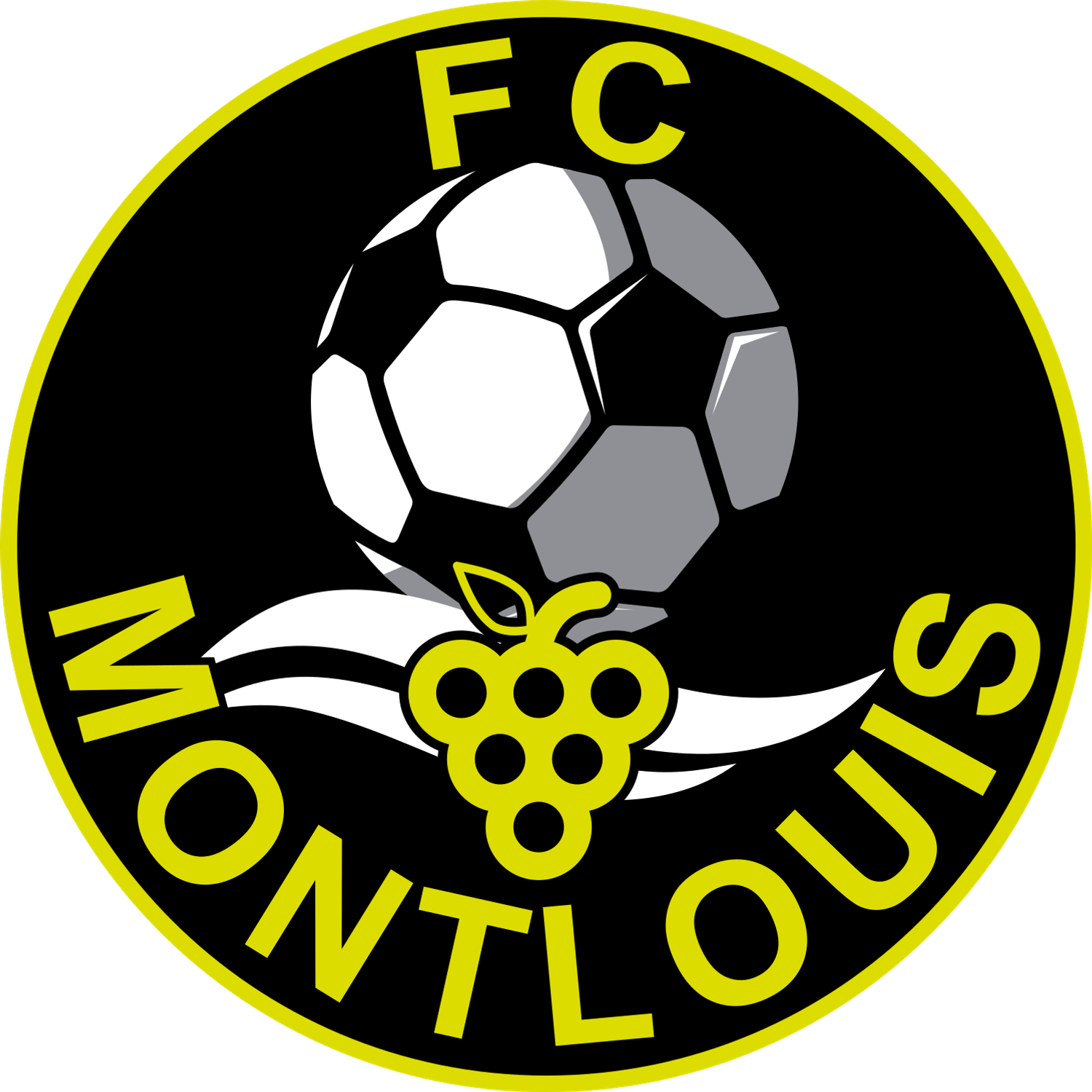 FC Montlouis logo – transparent PNG